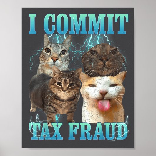 I Commit Tax Fraud Funny Cat Meme Bootleg Graphic  Poster (Voorkant)