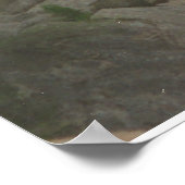 I CORINTHIANS 2:9 POSTER (Hoek)