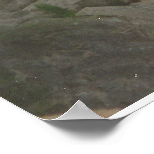 I CORINTHIANS 2:9 POSTER (Hoek)