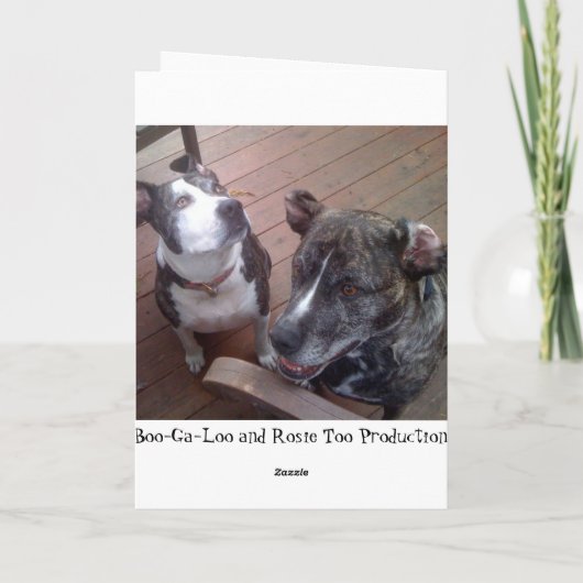 I de KUST mist u!!! Kaart (Achterkant)