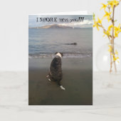 I de KUST mist u!!! Kaart (Gele Bloem)