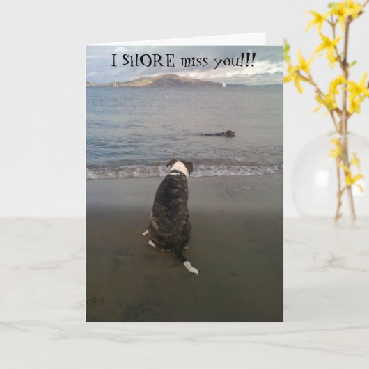 I de KUST mist u!!! Kaart (Gele Bloem)