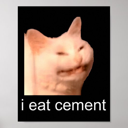 I Eat Cement Cursed Cat Funny Oddly Specific Meme  Poster (Voorkant)