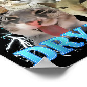 I Eat Dry Wall Funny Cat Meme  Poster (Hoek)