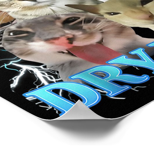 I Eat Dry Wall Funny Cat Meme Poster (Hoek)