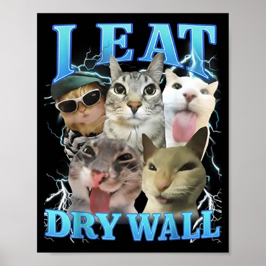 I Eat Dry Wall Funny Cat Meme  Poster (Voorkant)