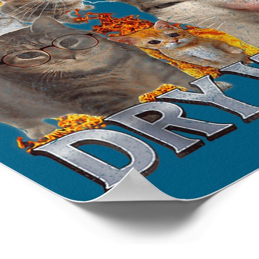 I Eat Drywall Funny Cat Meme Bootleg Graphic  Poster (Hoek)