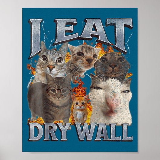 I Eat Drywall Funny Cat Meme Bootleg Graphic Poster (Voorkant)