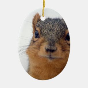 I, eekhoorn keramisch ornament