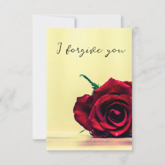 i forgive you sky horse kaart