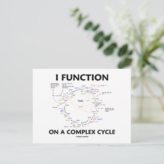 I-functie op een complex programma (Krebs Cycle Hu (Staand voorkant)