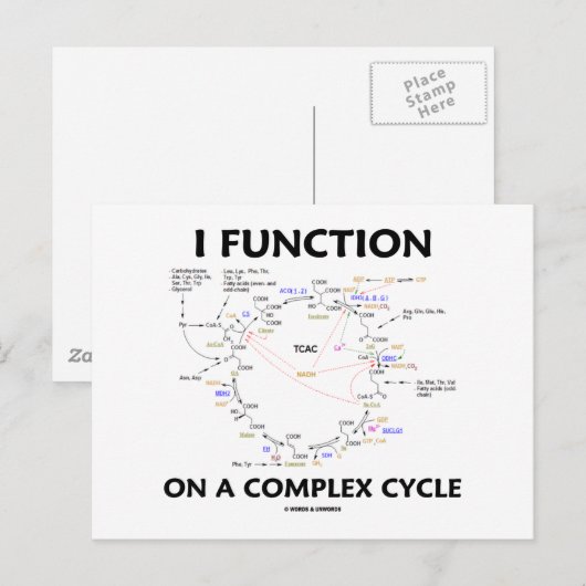 I-functie op een complex programma (Krebs Cycle Hu (Voorkant / Achterkant)