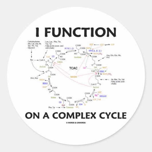 I-functie op een complex programma (Krebs Cycle Hu Ronde Sticker (Voorkant)