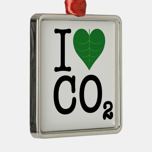 I Harde CO2 Metalen Ornament (Rechts)