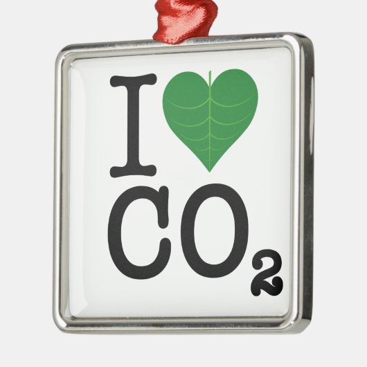 I Harde CO2 Metalen Ornament (Links)