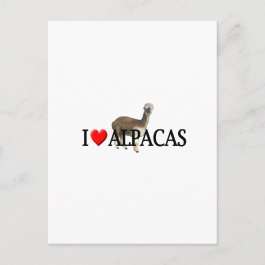 I "hart" alpacas briefkaart (Voorkant)