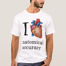 I Hart Anatomische nauwkeurigheid