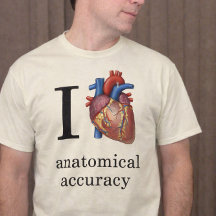 I Hart Anatomische nauwkeurigheid