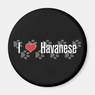 I (hart) Havanees Magneet