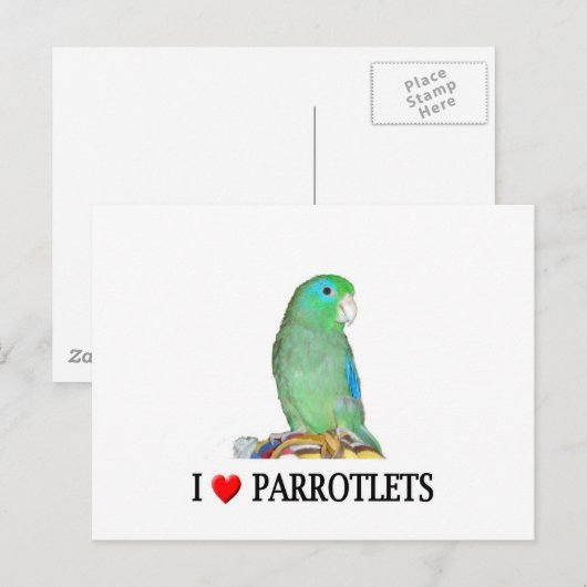 I "hart" parrotlets briefkaart (Voorkant / Achterkant)