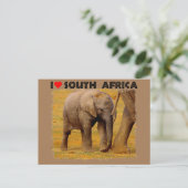 I Hart South Africa Elephant calf Briefkaart (Staand voorkant)