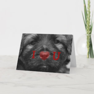 I Hart u het Wenskaart van het Puppy Feestdagen Kaart