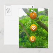 I Hart U-Sinaasappels Briefkaart (Voorkant / Achterkant)