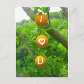 I Hart U-Sinaasappels Briefkaart