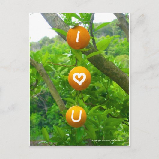 I Hart U-Sinaasappels Briefkaart (Voorkant)