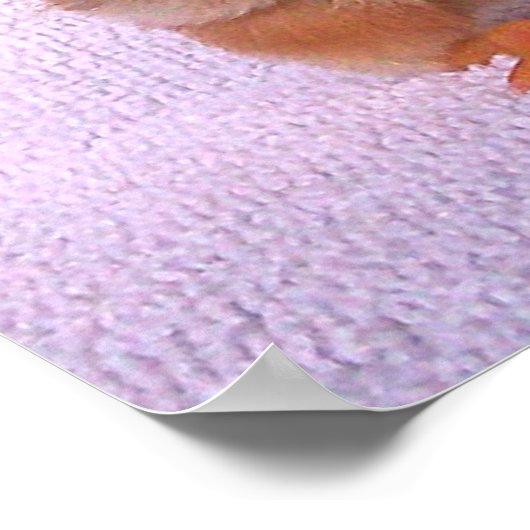 I HATE Maandagen Poster (Hoek)