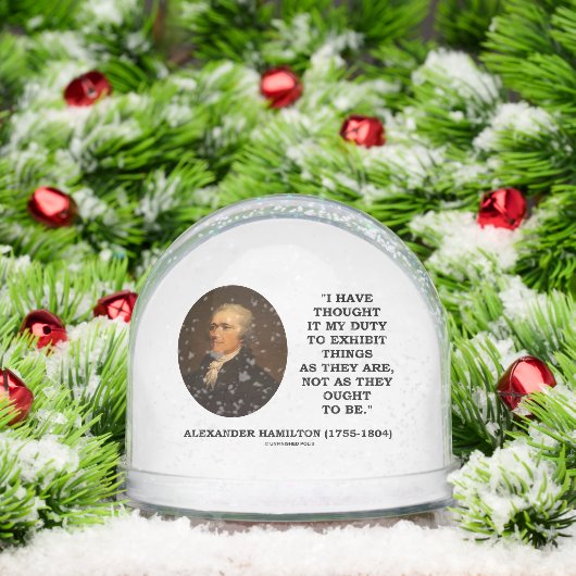 I Have Thought It My Duty Exhibit Realist Hamilton Sneeuwbol (Kerstmis)