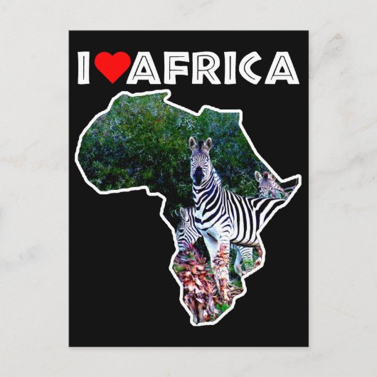 I Heart Africa Zebra Aloe Briefkaart (Voorkant)