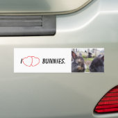 I Heart Bunnies Bumpersticker (Op auto)