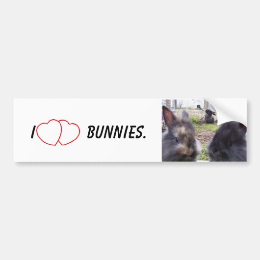 I Heart Bunnies Bumpersticker (Voorkant)