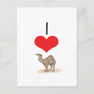 I Heart (Love) Camels Briefkaart