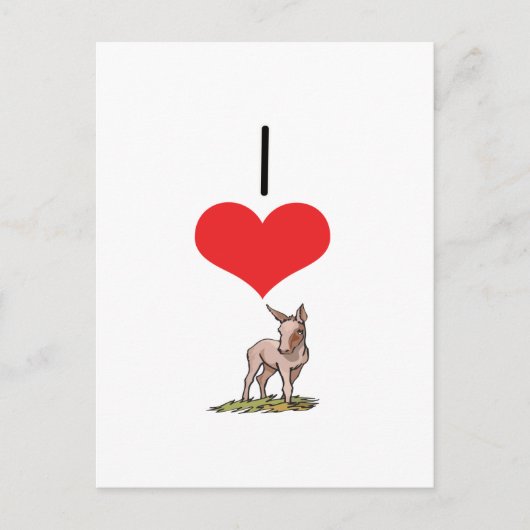 I Heart (Love) Donkeys Briefkaart (Voorkant)