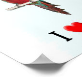 I "Heart Macaws Poster (Hoek)