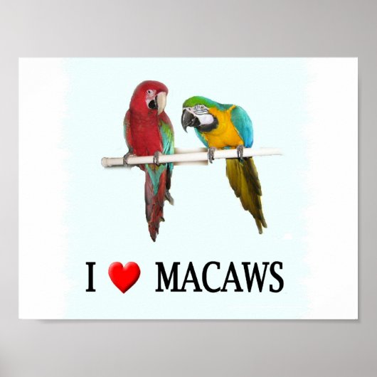 I "Heart Macaws Poster (Voorkant)