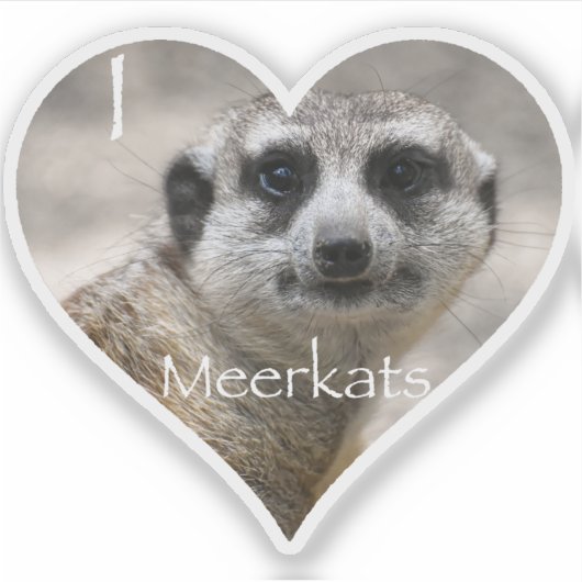 I Heart Meerkats Sticker (Voorkant)