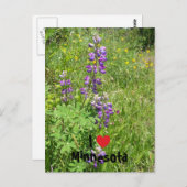 I Heart Minnesota Briefkaart (Voorkant / Achterkant)