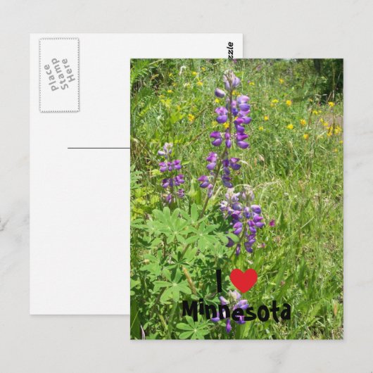 I Heart Minnesota Briefkaart (Voorkant / Achterkant)