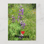 I Heart Minnesota Briefkaart (Voorkant)