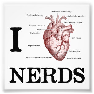 I Heart Nerds Foto Afdruk