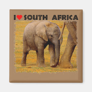 I Heart South Africa Elephant calf Magnet