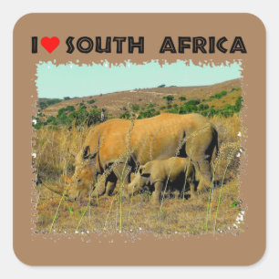 I Heart South Africa Rhino tot riet Vierkante Sticker