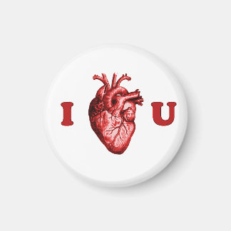 I Heart You Anatomisch Hart - Wit & Rood Magneet