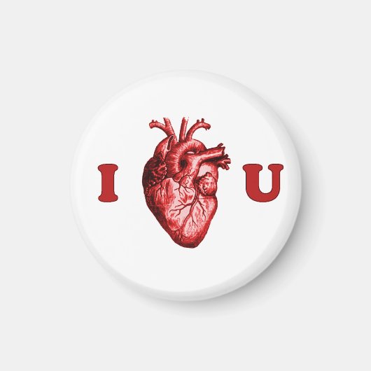 I Heart You Anatomisch Hart - Wit & Rood Magneet (Voorkant)