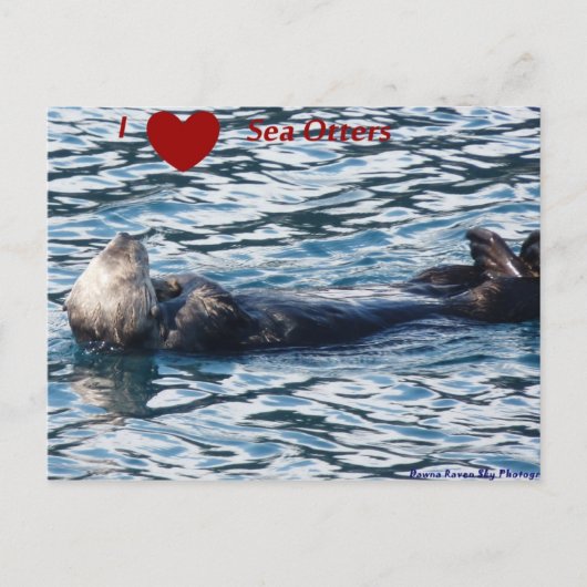I Heart Zee Otters Briefkaart (Voorkant)