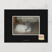 I heeft een konijntje briefkaart (Voorkant)