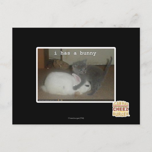 I heeft een konijntje briefkaart (Voorkant)